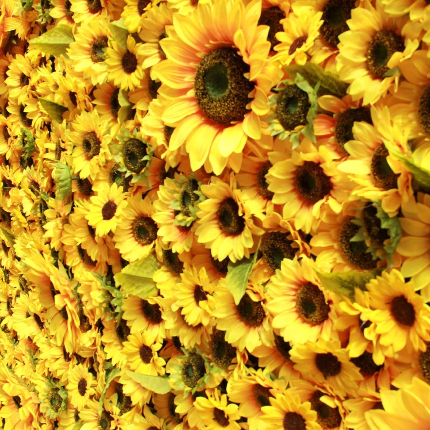 Rolling Up Cloth Curtain Silk Sun Flower Wall For Birthday Wedding Backdrop Decoration Outdoor Event Party Decor Props