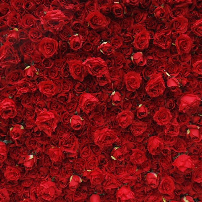 Cloth Curtain Silk Red Rose Flower Wall For Birthday Wedding Backdrop Decoration Outdoor Event Party Decor Props