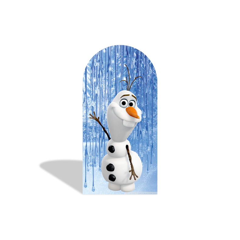 Frozen Anna Elsa Princess Birthday Party Arch Backdrop Wall Cloth Cover
