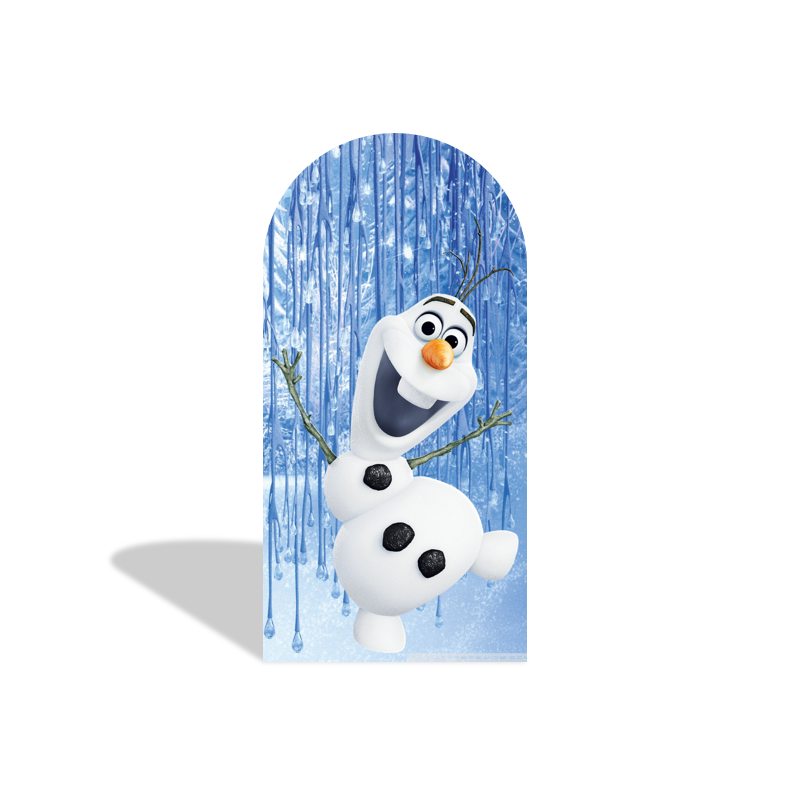 Frozen Anna Elsa Princess Birthday Party Arch Backdrop Wall Cloth Cover