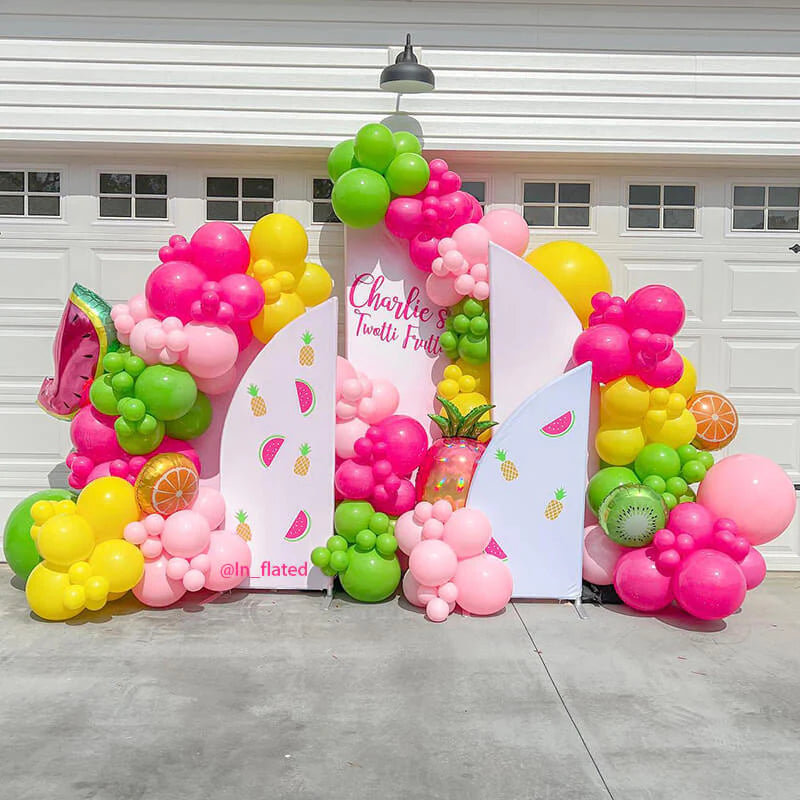 Chiara 5 Walls Set Birthday Baby Shower Wedding Party Decoration Arch Backdrop stand