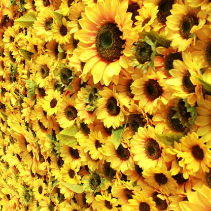 Rolling Up Cloth Curtain Silk Sun Flower Wall For Birthday Wedding Backdrop Decoration Outdoor Event Party Decor Props