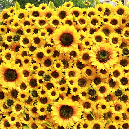 Rolling Up Cloth Curtain Silk Sun Flower Wall For Birthday Wedding Backdrop Decoration Outdoor Event Party Decor Props