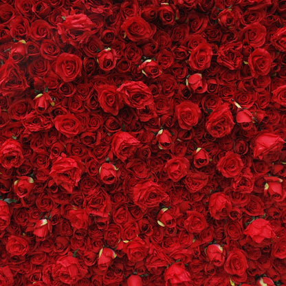 Cloth Curtain Silk Red Rose Flower Wall For Birthday Wedding Backdrop Decoration Outdoor Event Party Decor Props