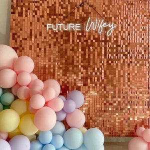 Shimmer Sequin Wall Birthday Party Photo Booth Backdrop- Various colors available Pink Gold Green Sliver White
