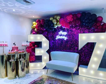 Shimmer Sequin Wall Birthday Party Photo Booth Backdrop- Various colors available Pink Gold Green Sliver White